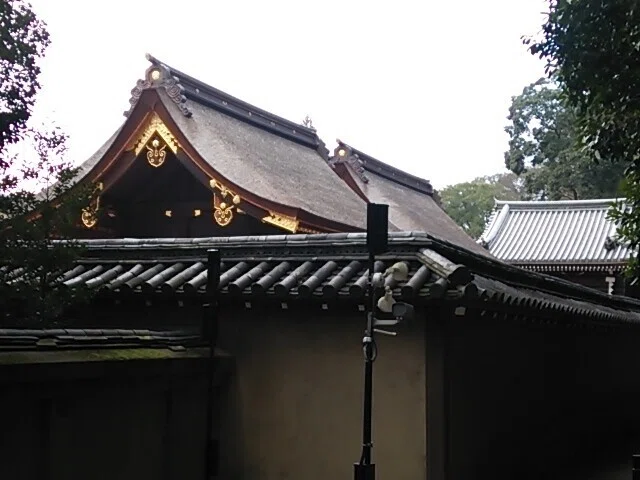 画像47