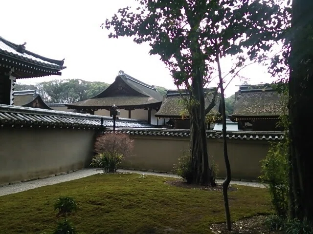 画像49