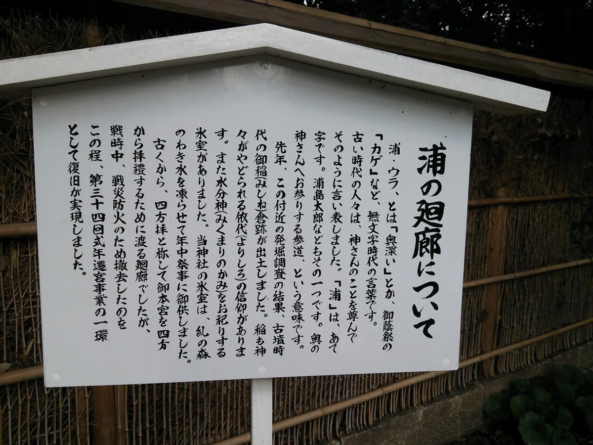 画像51