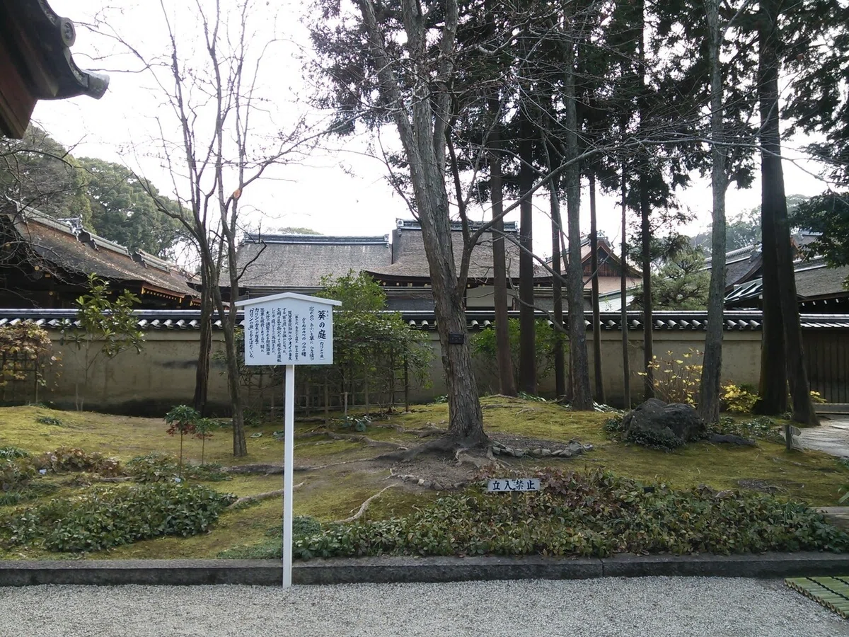 画像53