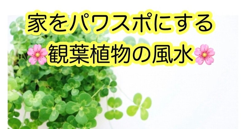 キッチンに幸運を呼び込む観葉植物や花の効果とは なみさん 彡自分をパワスポにする方法 Note キッチンに幸運を呼び込む観葉植物や花の効果とは なみさん 彡自分をパワスポにする方法 Note