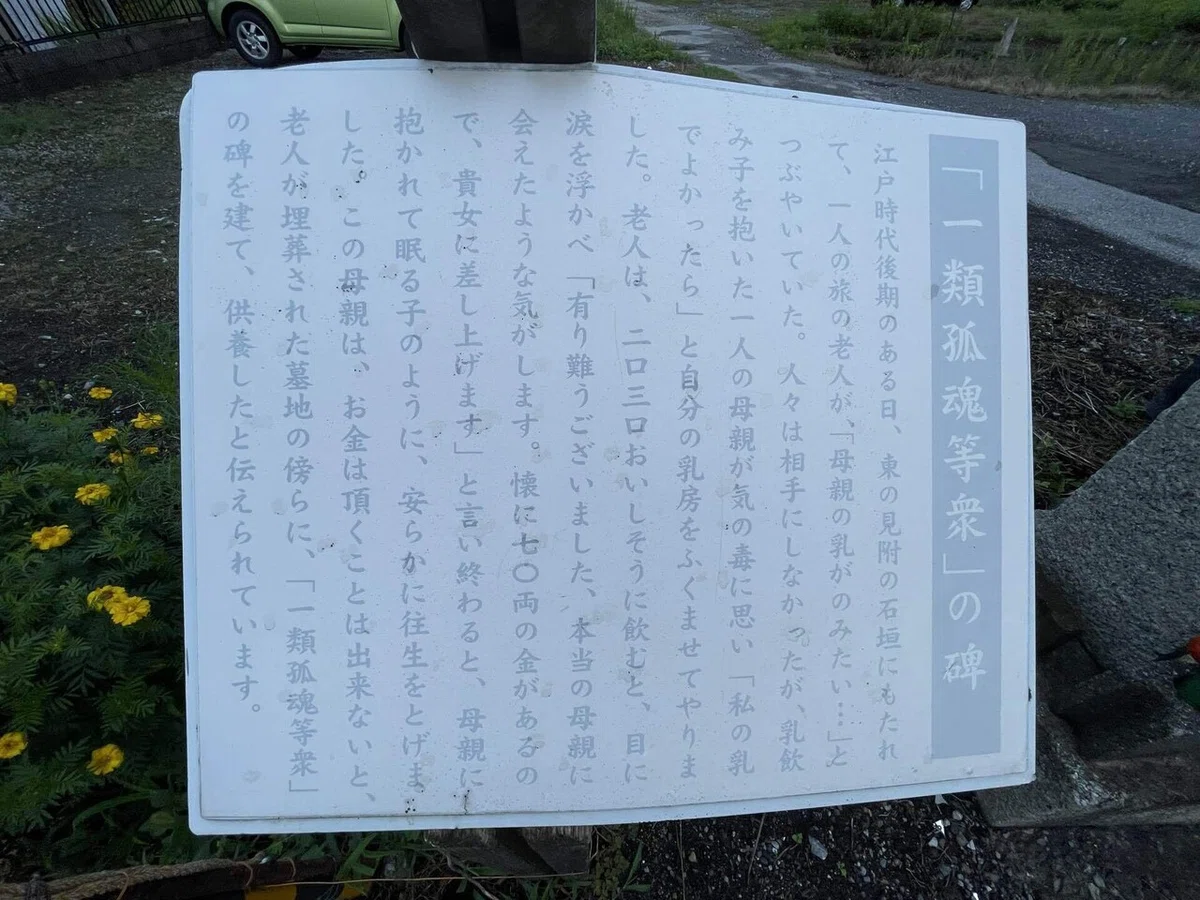 画像24
