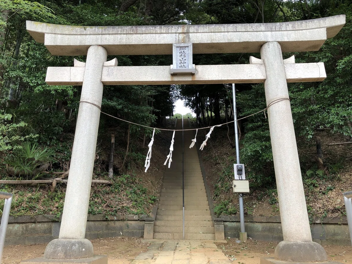 画像4