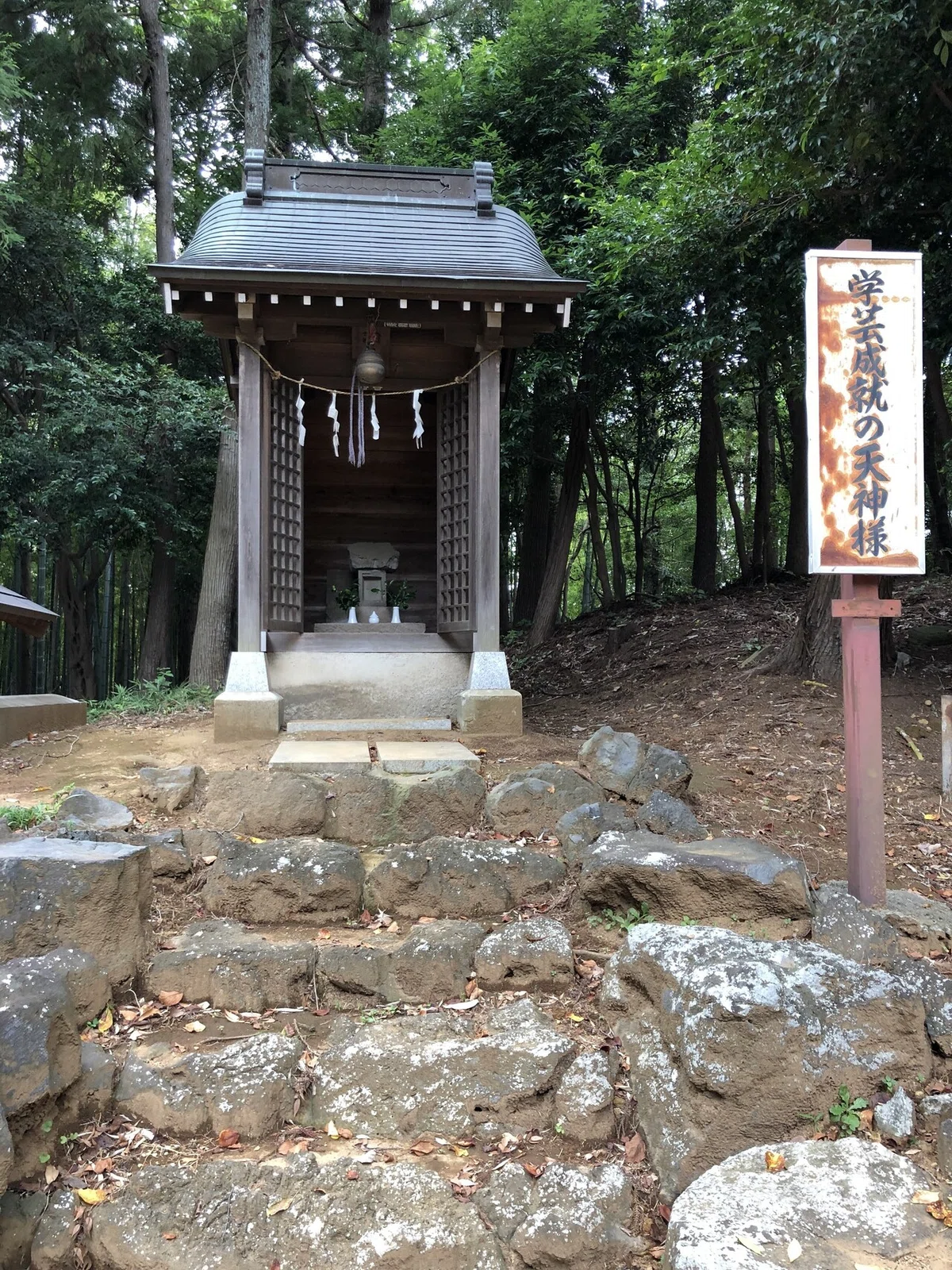 画像11