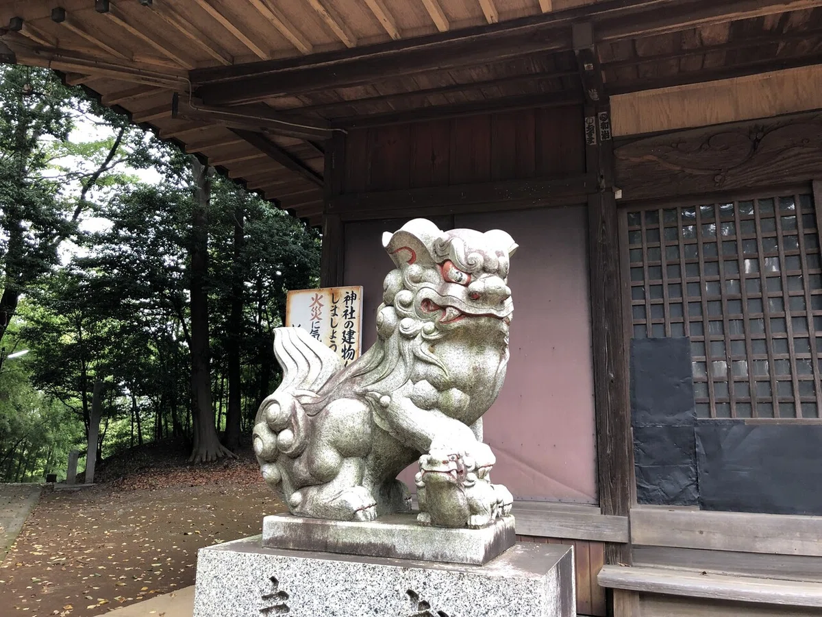 画像14