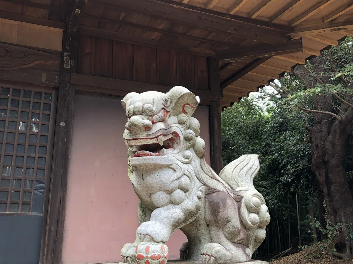 画像15