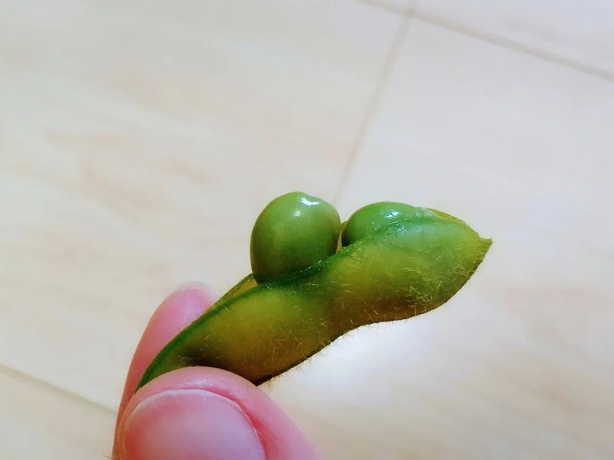 ç»å5