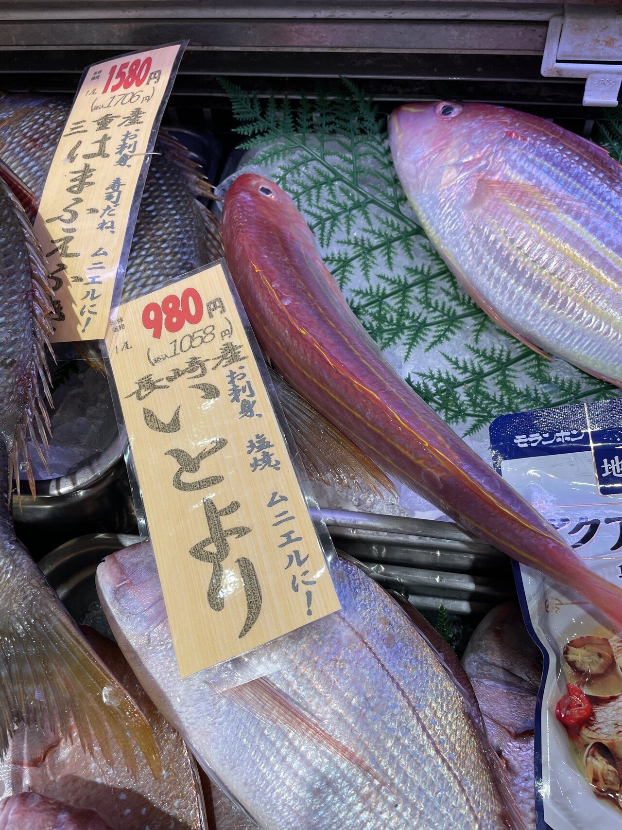 食べる魚コレクション 008 イトヨリ しのぶめし Note