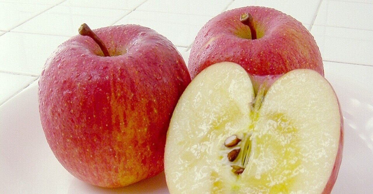 rectangle_large_type_2_a58643b