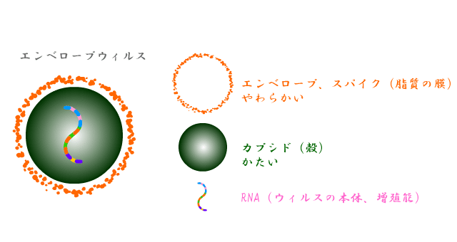 ウィルス0001