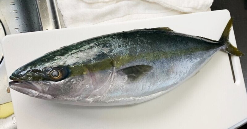 食べる魚コレクション ブリ しのぶめし Note