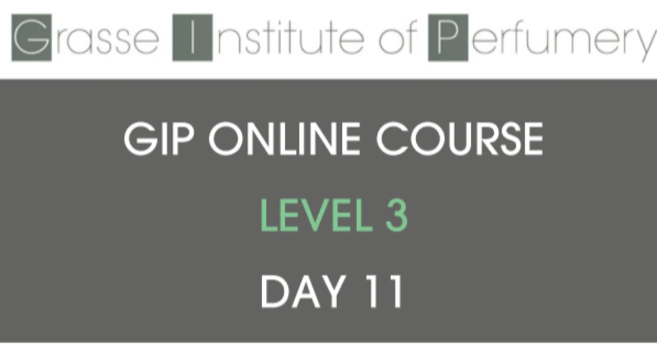 GIP LEVEL 3 - DAY 11: Oud Accord Study｜楠 尚子｜Perfumer