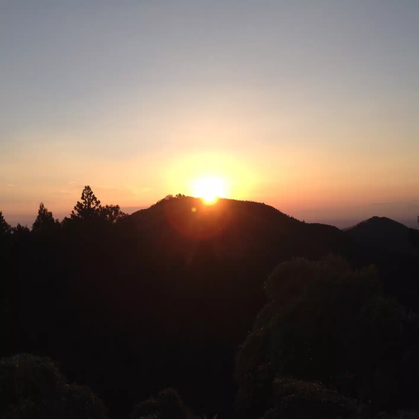 Wayfaring【歩きの会】