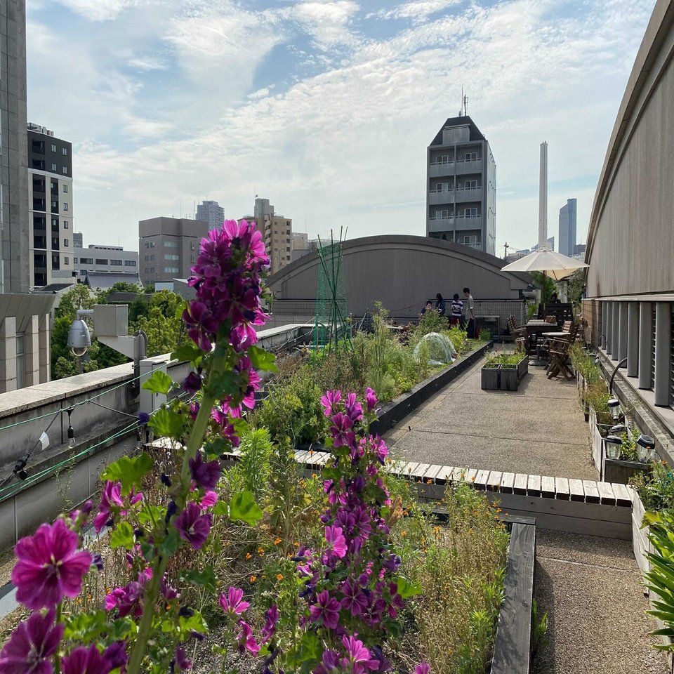 Report 恵比寿のコミュニティファーム Grow Field Ebisu Prime Tokyo Urban Farming Note