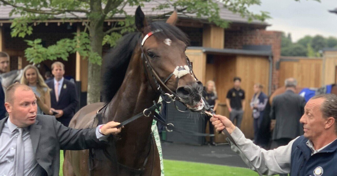 総合評価 競馬場探訪 ヨーク競馬場 York Racecourse 小和田 逸平 Note