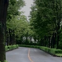 駆け出し百人一首 37 皆人は花の衣になりぬなり苔の袂よ乾きだにせよ 僧正遍昭 三鷹古典サロン裕泉堂 吉田裕子 Note 駆け出し百人一首 37 皆人は花の衣になりぬなり苔の袂よ乾きだにせよ 僧正遍昭 三鷹古典サロン裕泉堂 吉田裕子 Note
