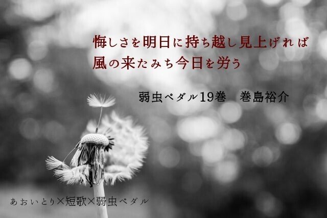短歌 弱虫ペダル19巻 マユミ Note 短歌 弱虫ペダル19巻 マユミ Note