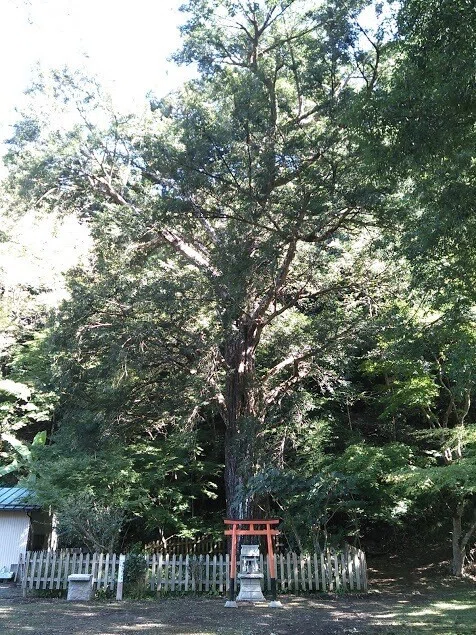 画像3