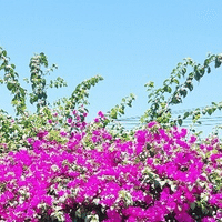 紙もの好きのミニマリスト Mico Note