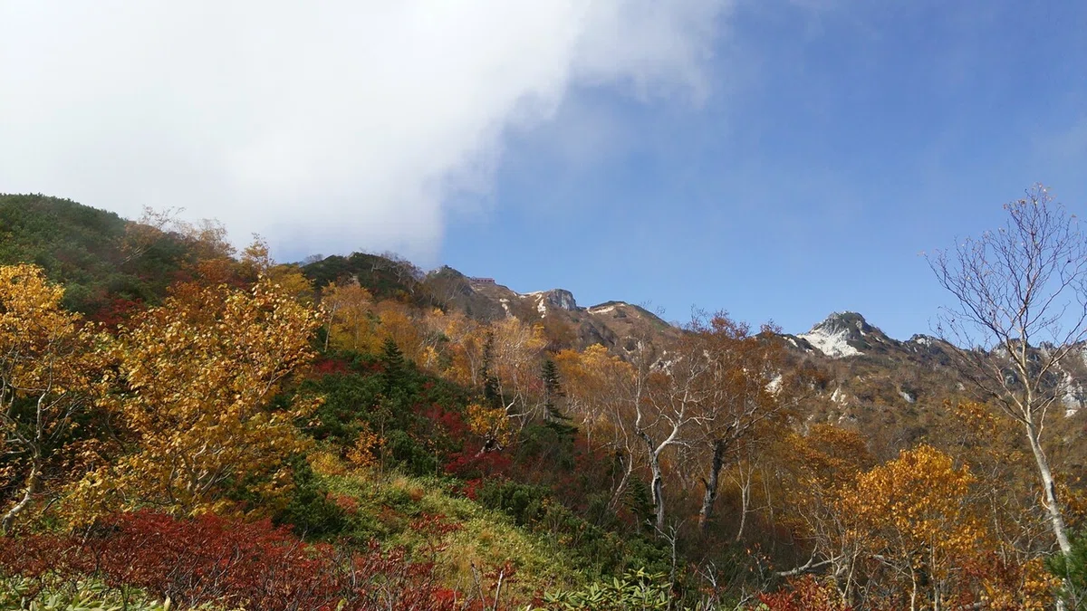 画像6