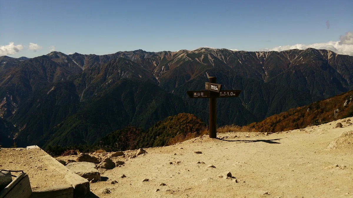 画像8