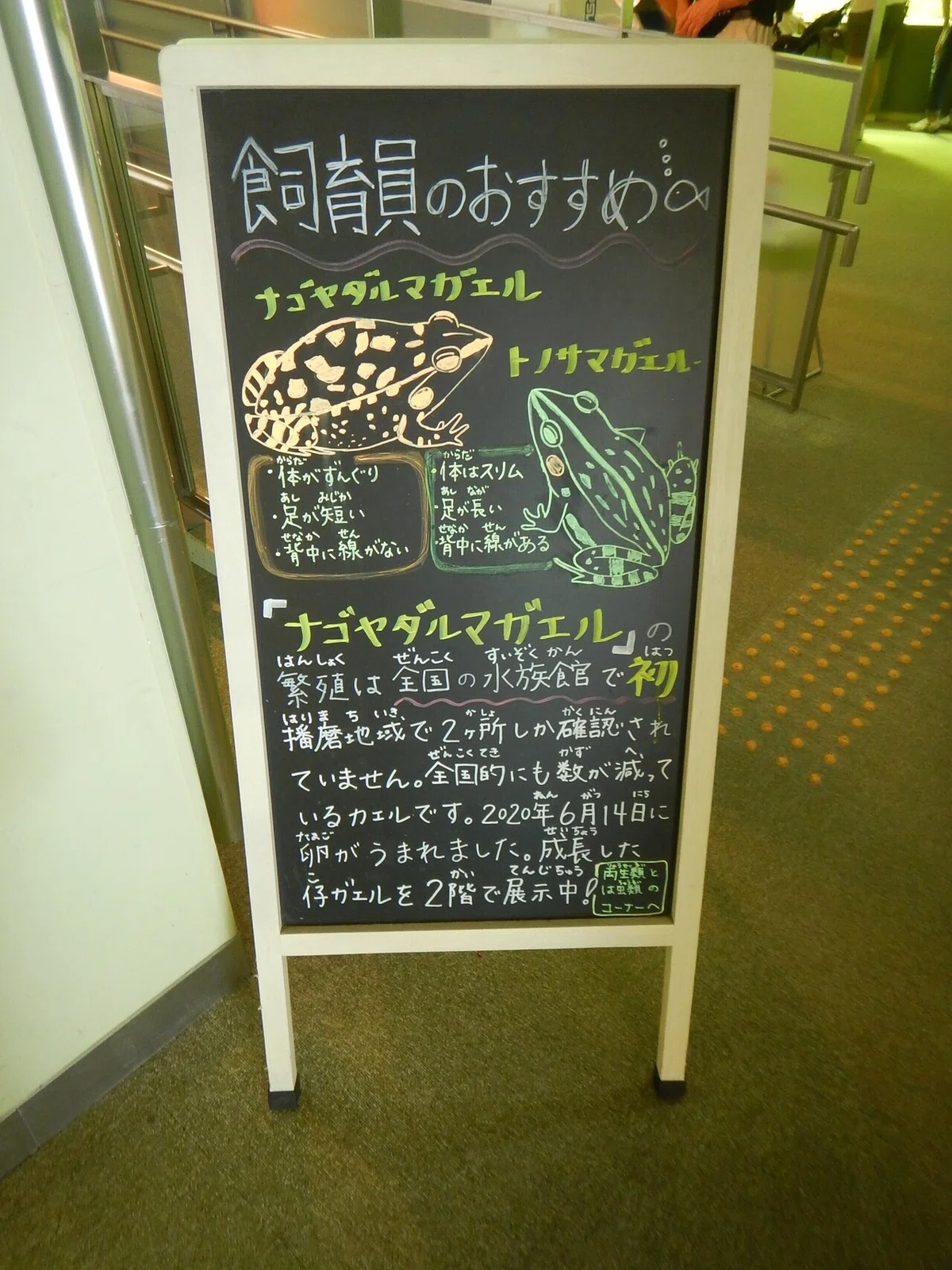 画像1
