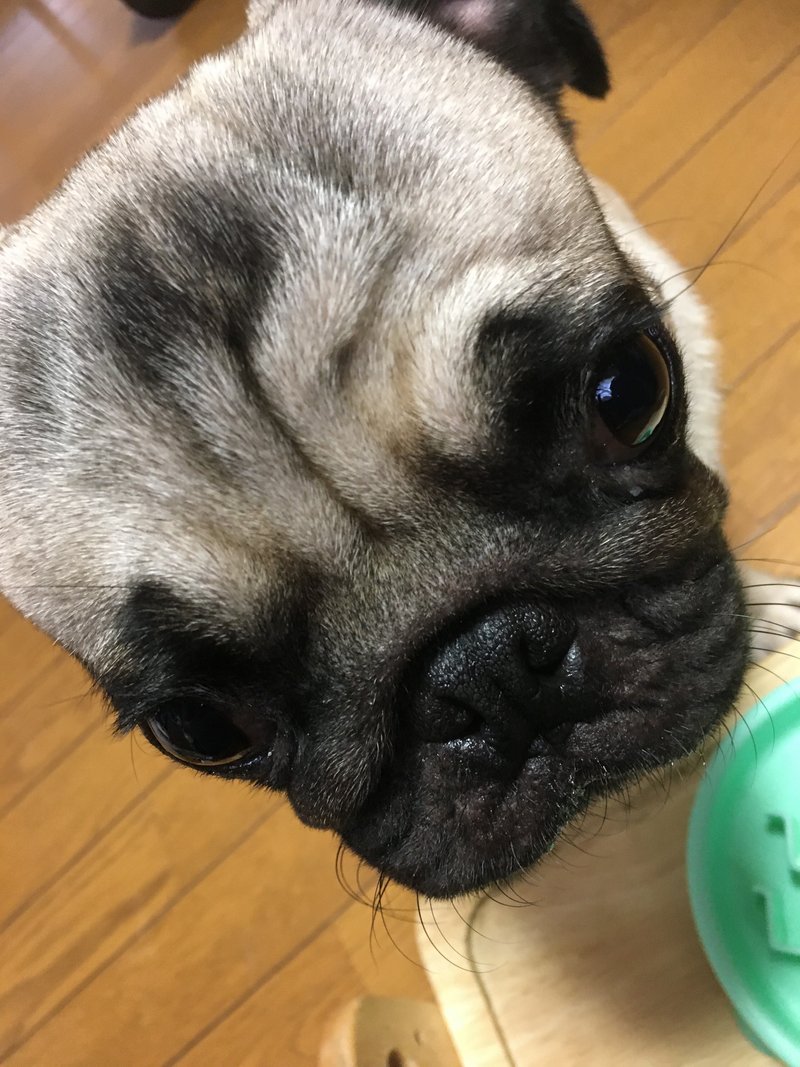 ホットフラッシュ の新着タグ記事一覧 Note つくる つながる とどける