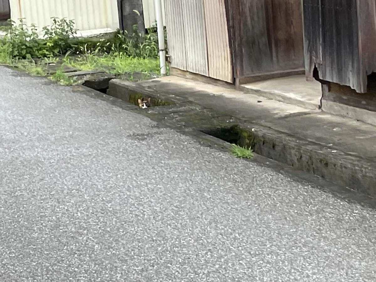 画像28