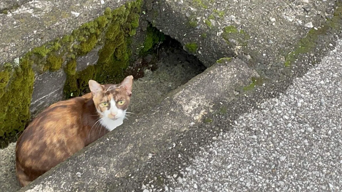 画像29