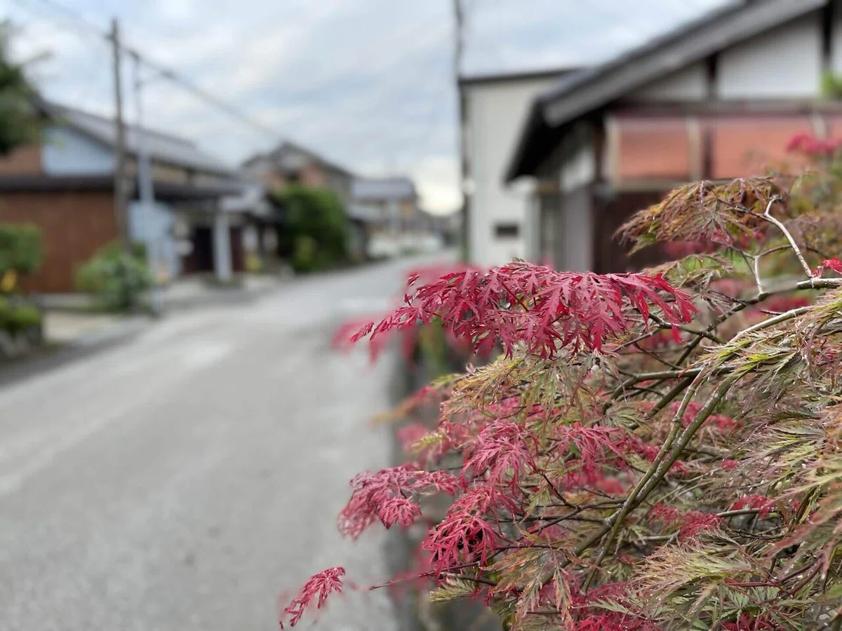画像31