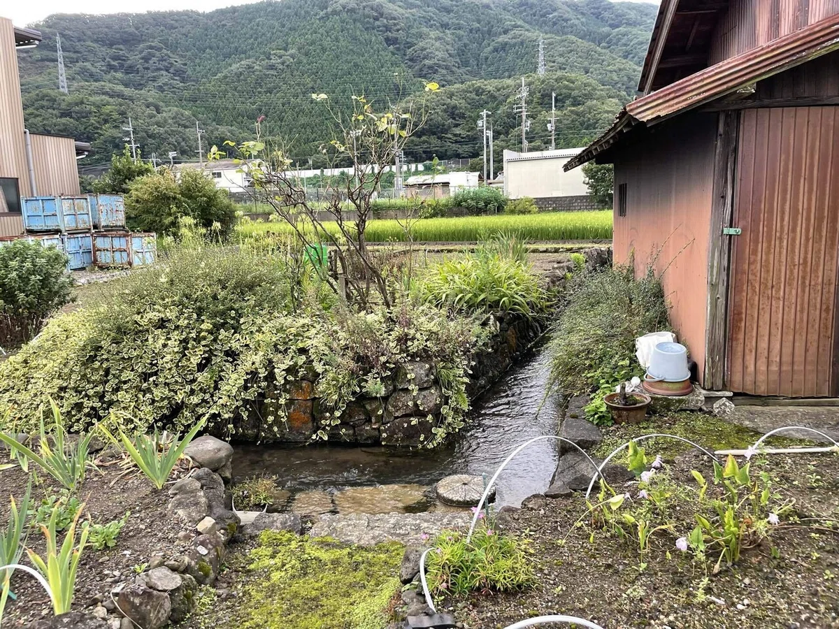 画像32