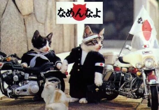 なめ猫