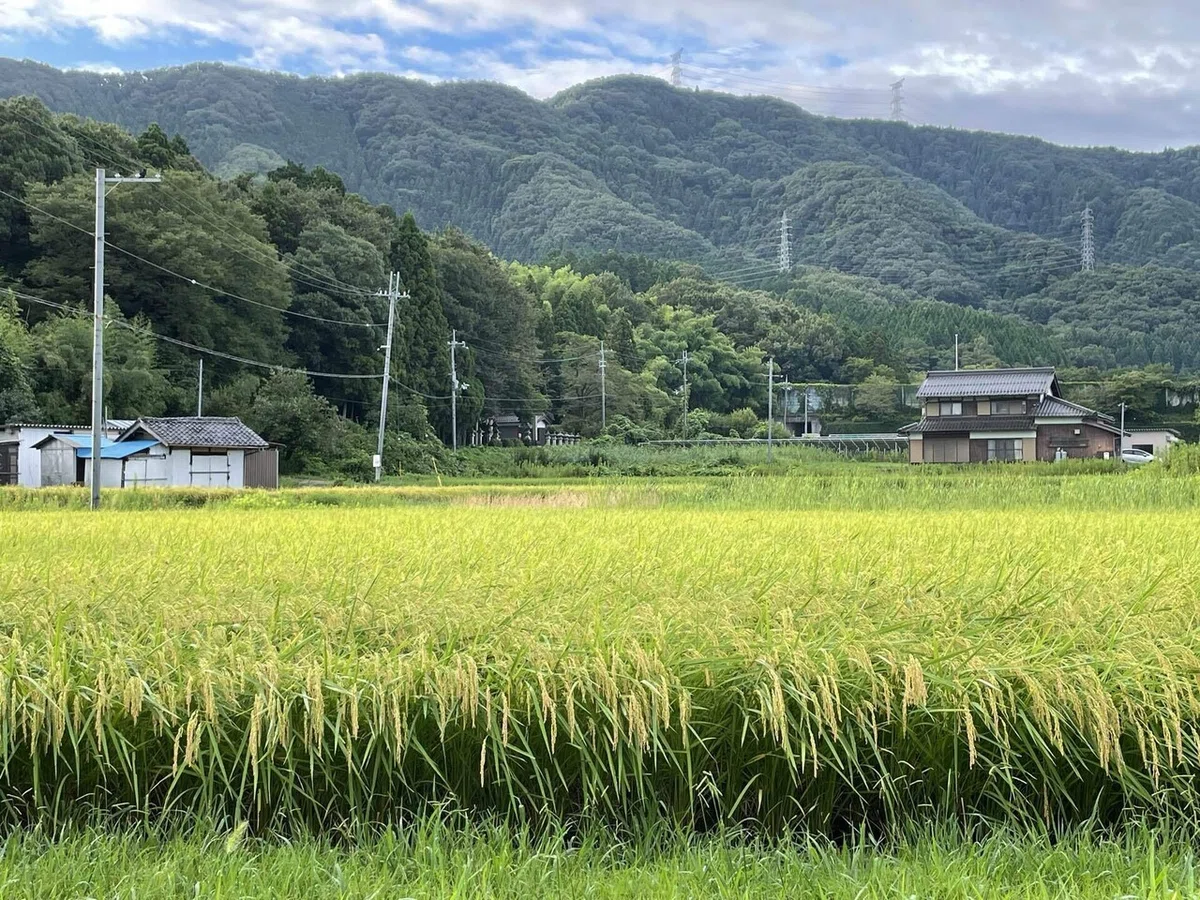 画像38