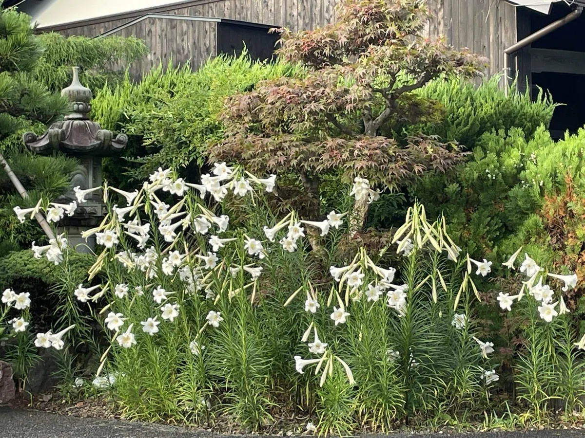 画像39