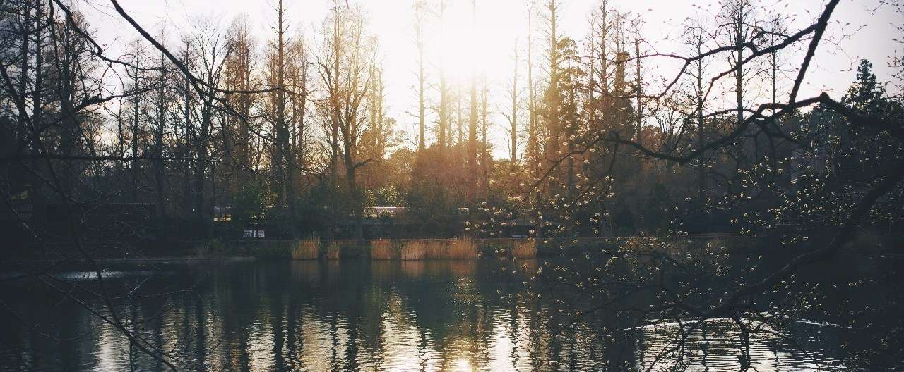 写真_2017-01-13_15_49_52