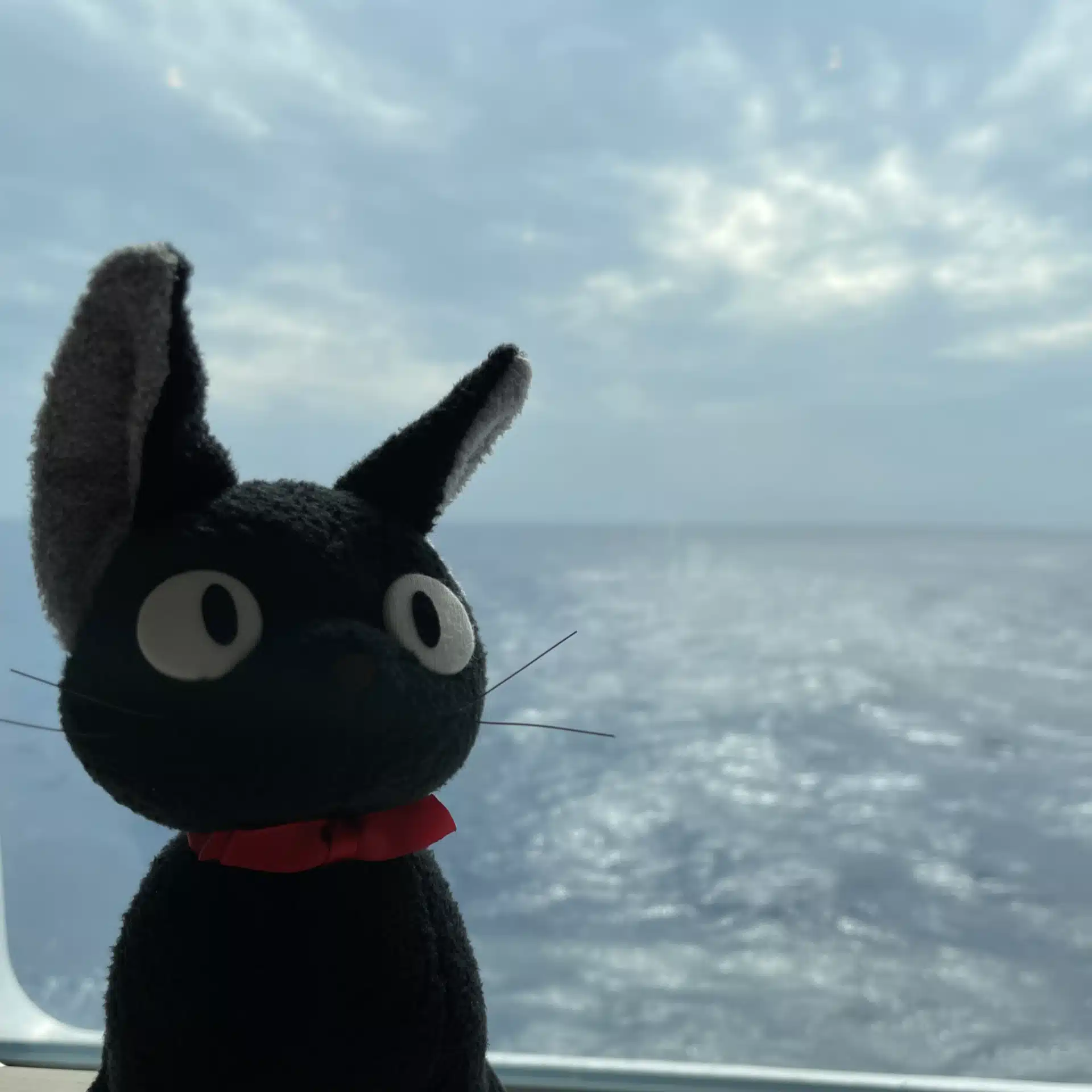 simba_t222