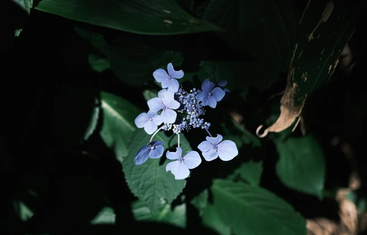 画像26