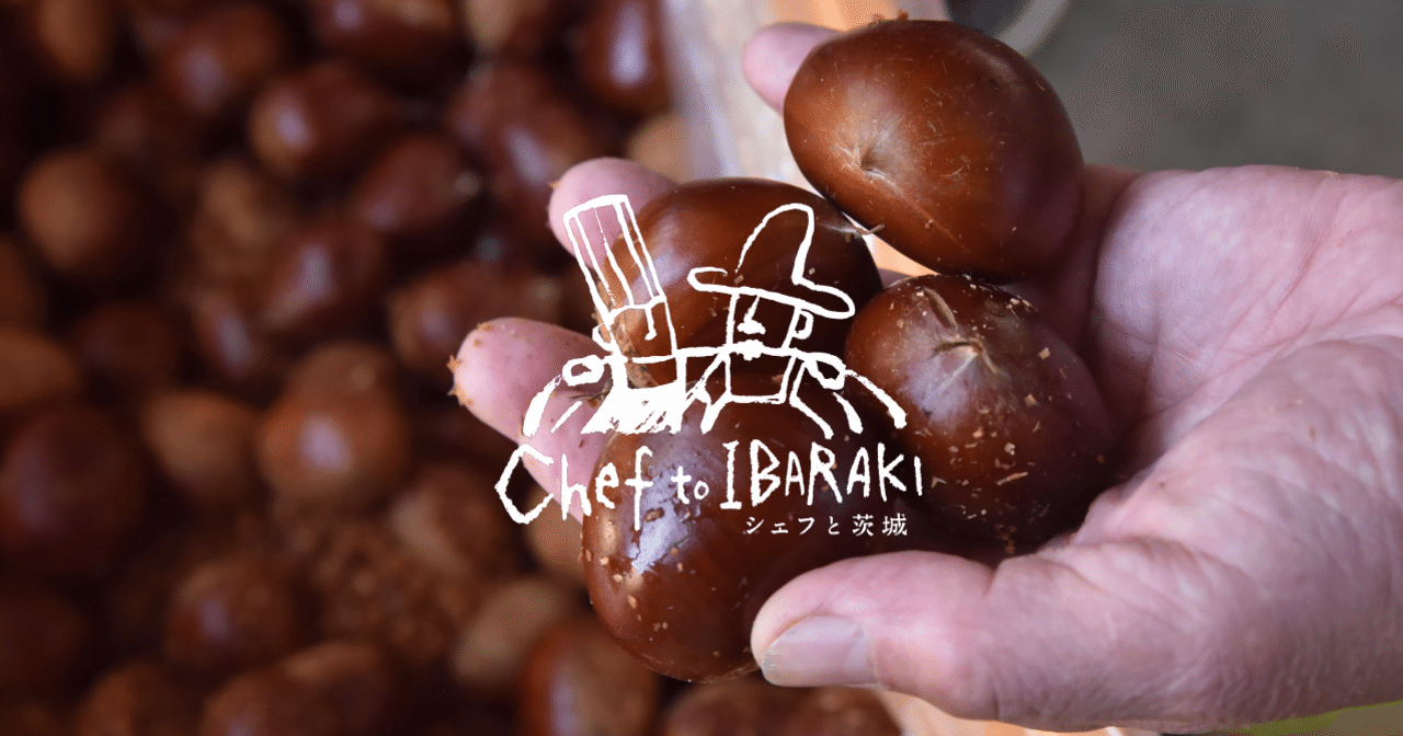 高級 飯沼栗 10キロ Lサイズ|高級 飯沼栗 10kg 最終 【公式通販】 高級 飯沼栗 10キロ Lサイズ|高級 飯沼栗 10kg 最終 【公式通販】