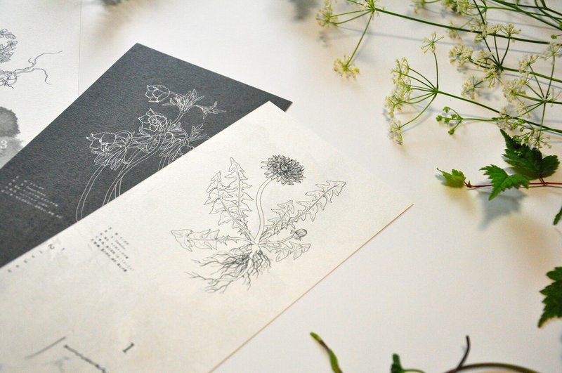 愛をこめたピアノソロ曲集 Love 向山 千晴 Mukaiyama Chiharu Note