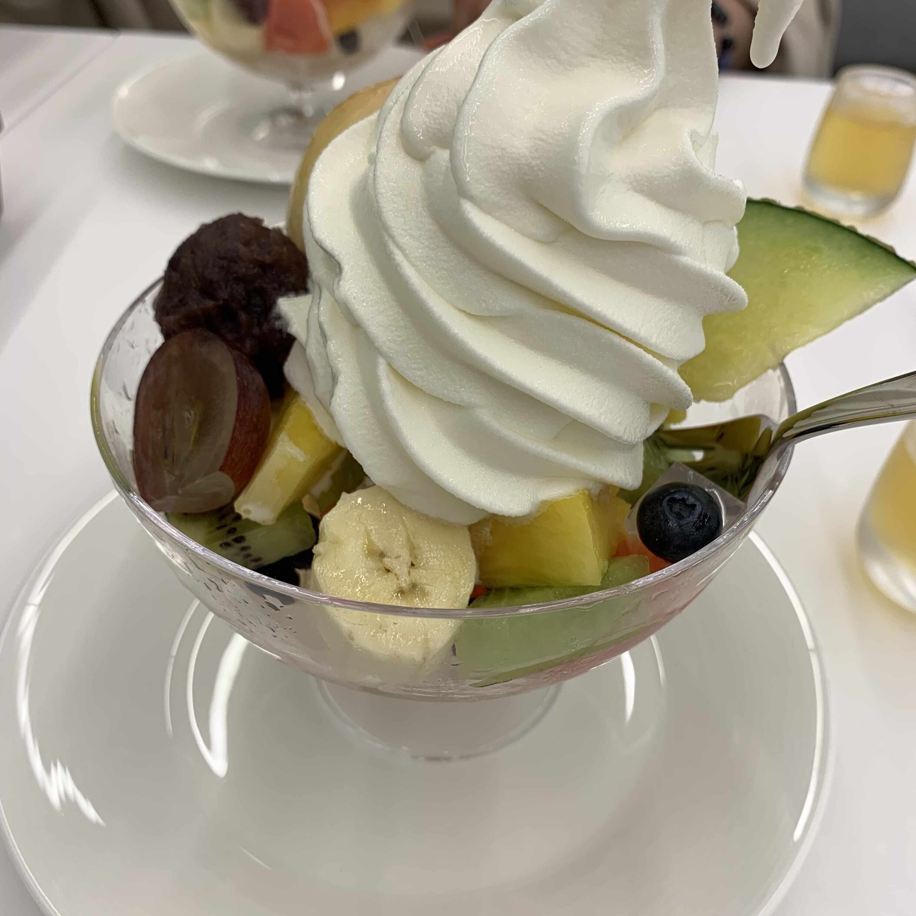 無花果（イチジク）ホワイトパトリカン while patlican トルコ原産の大果黄緑皮赤, image size:3024x3024