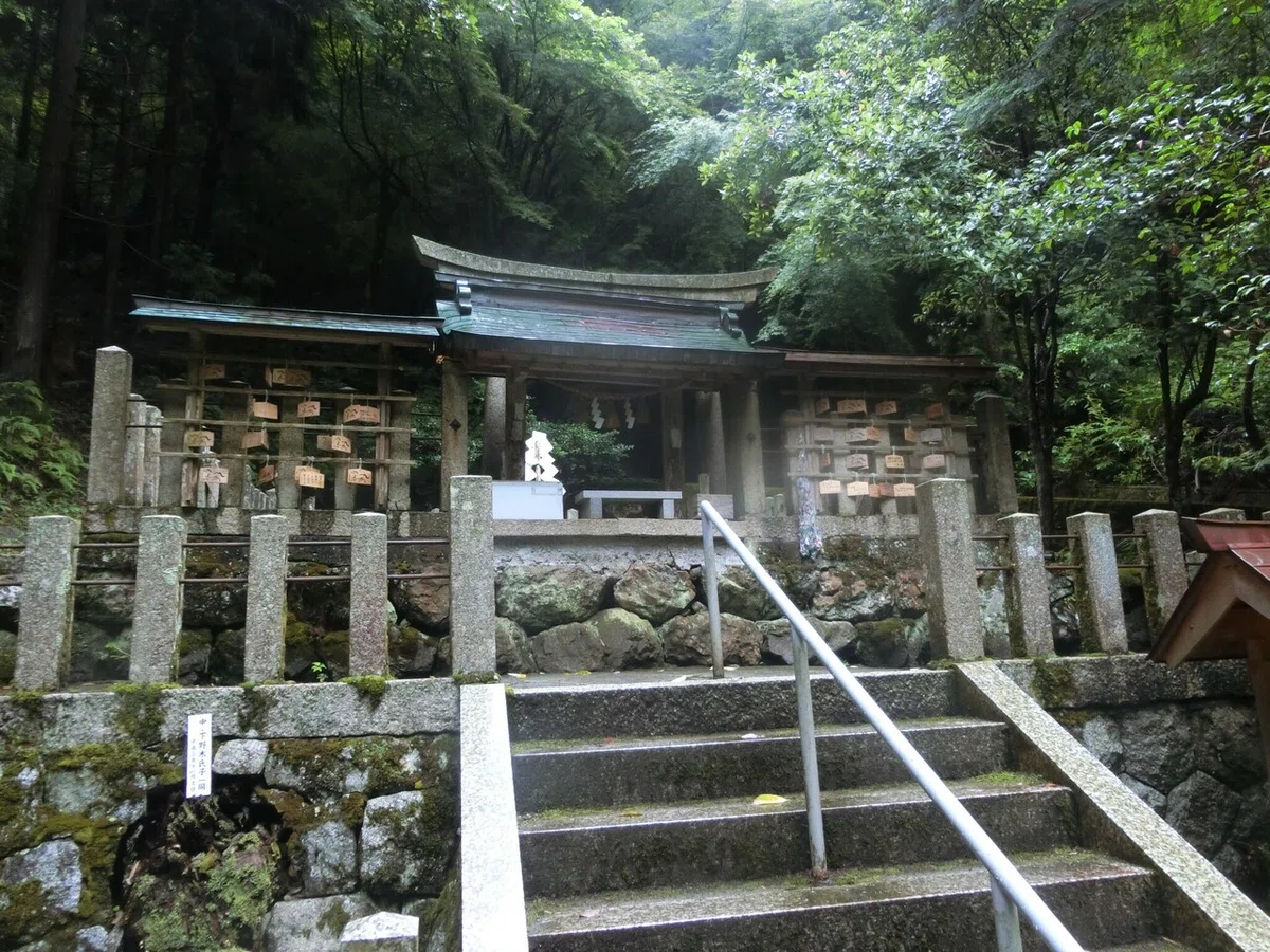 画像4