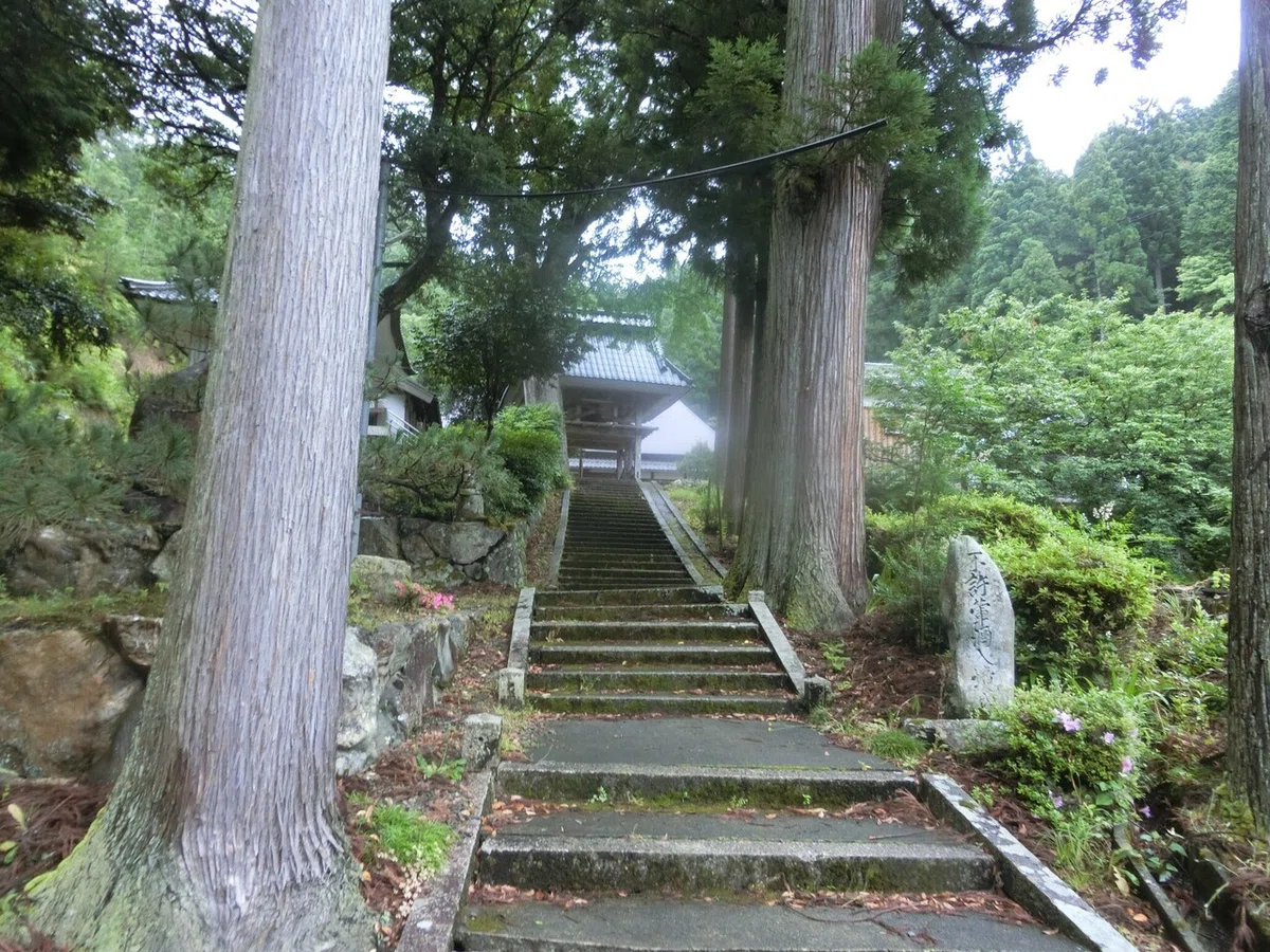 画像7