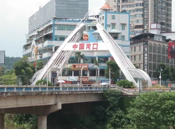 画像15