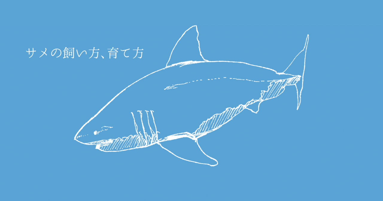 サメの飼い方 育て方 米洗 炊 Note