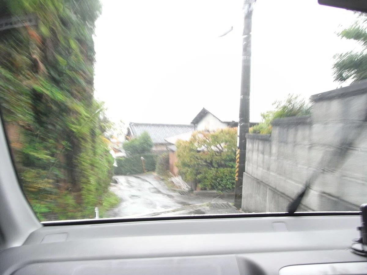 画像7