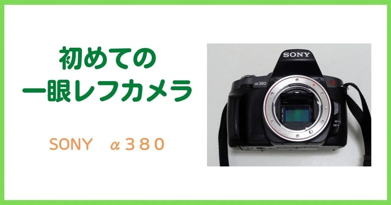 私にとって初の一眼レフ「ソニー α380」｜会場カメラマン・ナベゾー