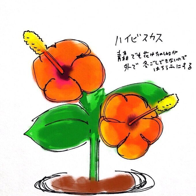 花の絵と花の話｜FMIC7743