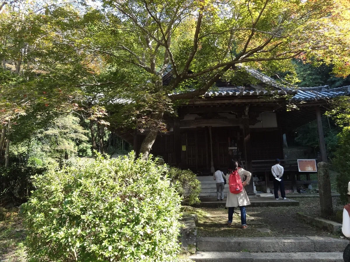 画像14
