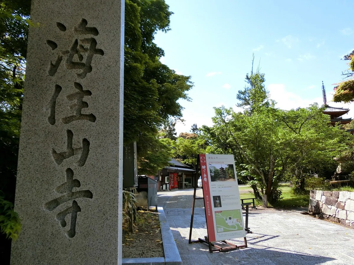 画像17