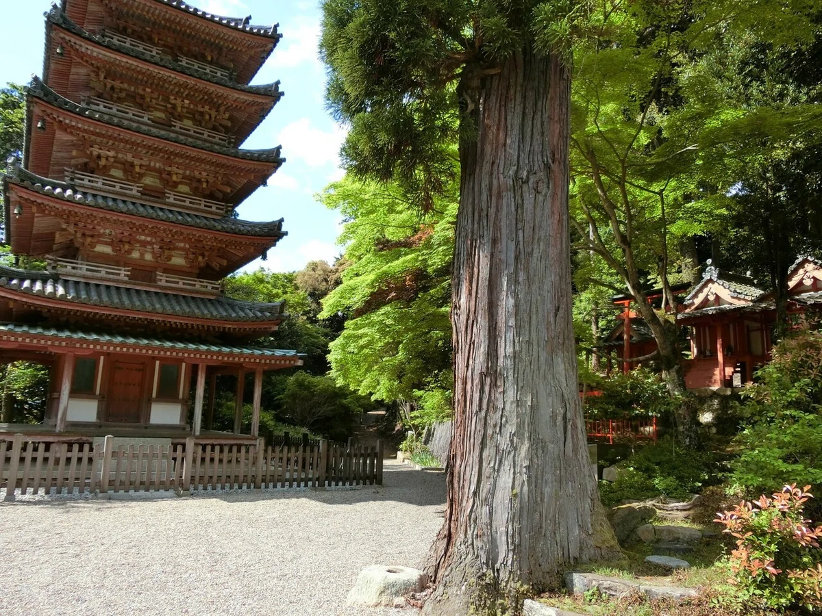 画像18